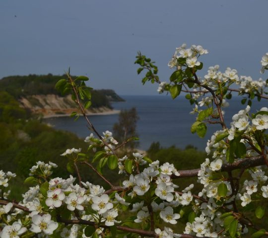 Филинская бухта